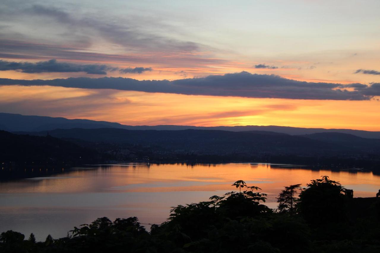 Maisonnette Vue Panoramique Lac D'Annecy Veyrier-du-Lac Exteriér fotografie